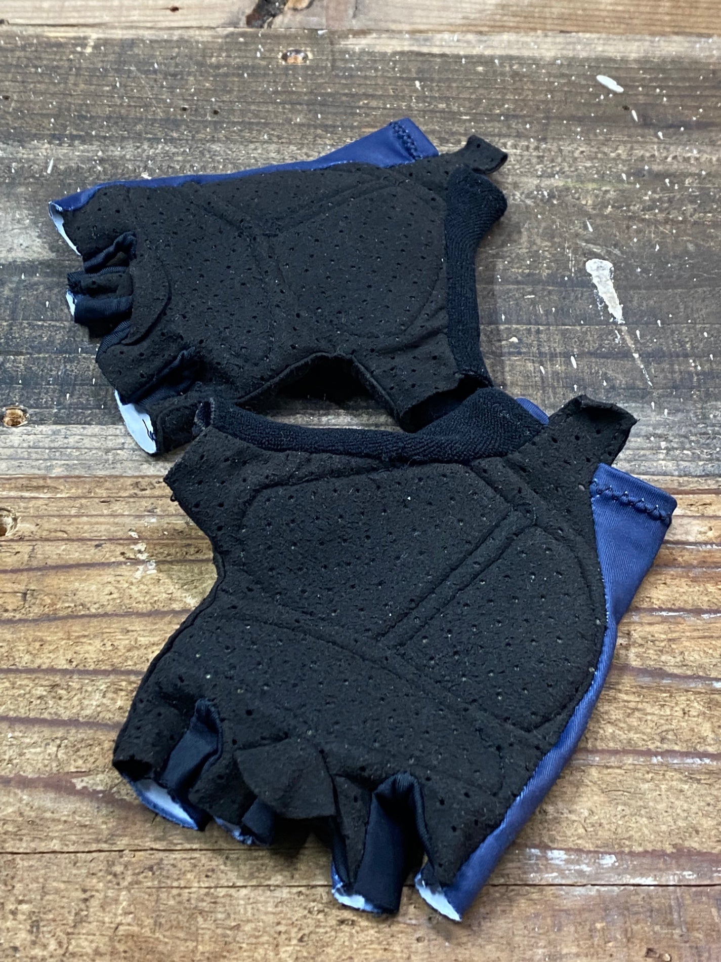 IQ435 サンティーニ Santini グローブ ネイビー S TREK Segafredo