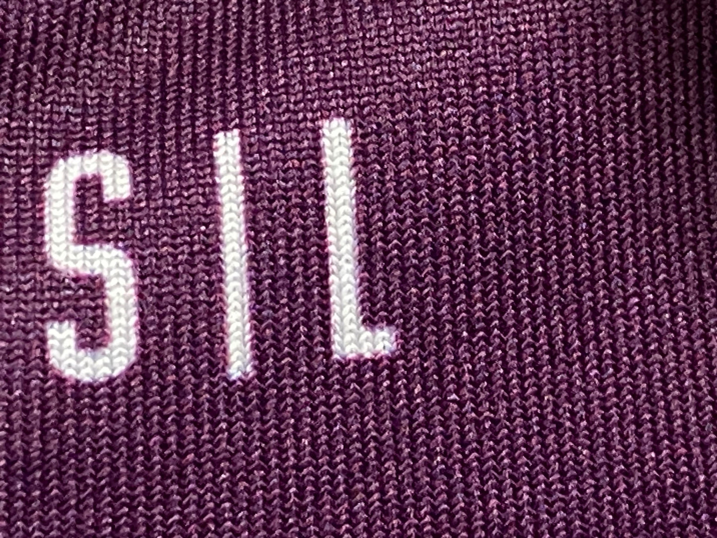 JA878 プロトンドパリ Peloton de Paris 半袖 サイクルジャージ 紫 L