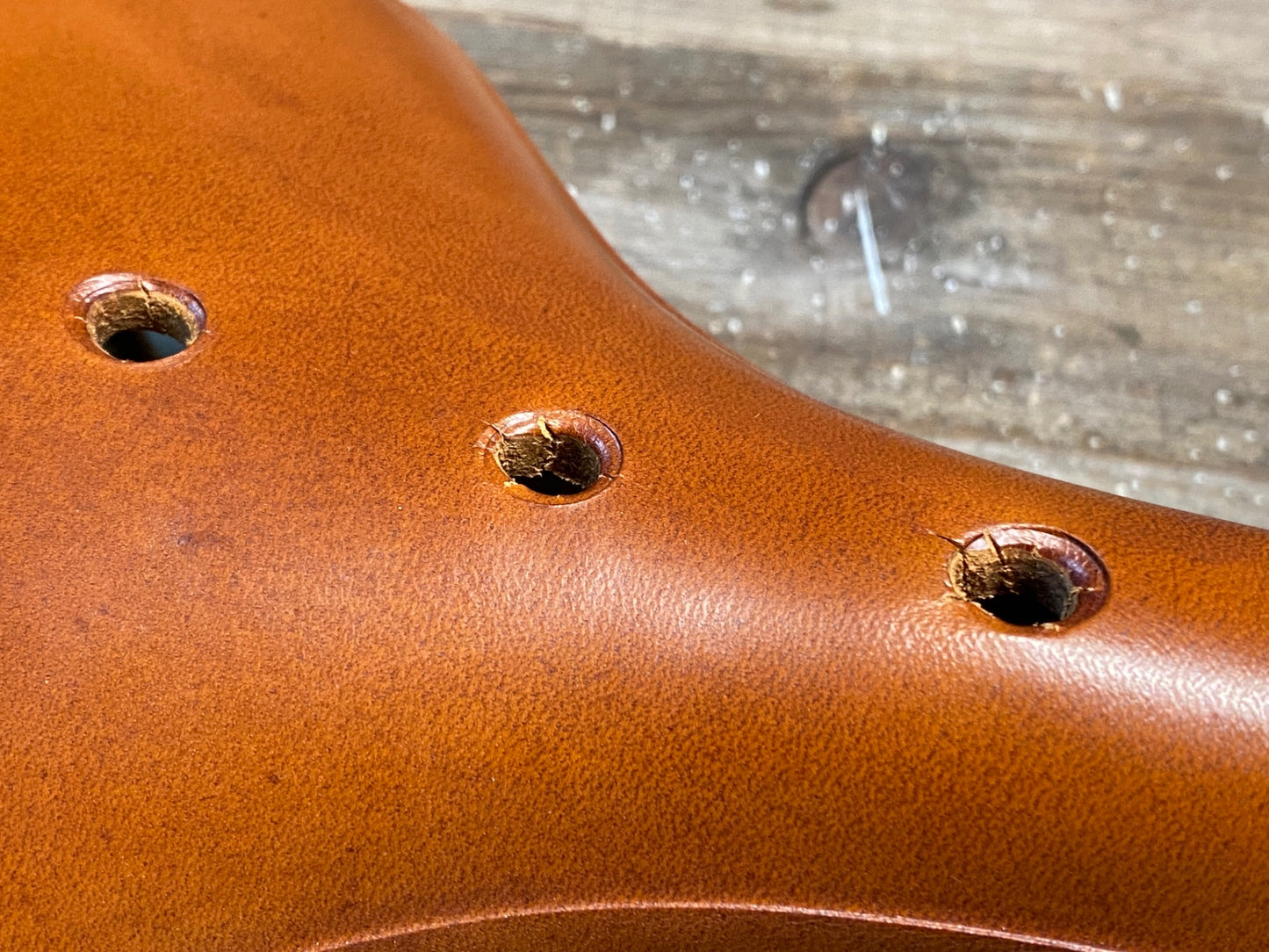 IN917 ブルックス BROOKS B17 SPECIAL サドル ハニー